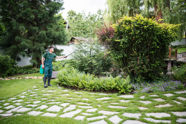 Best Ant Control Services  in Grand Meadow, MN
