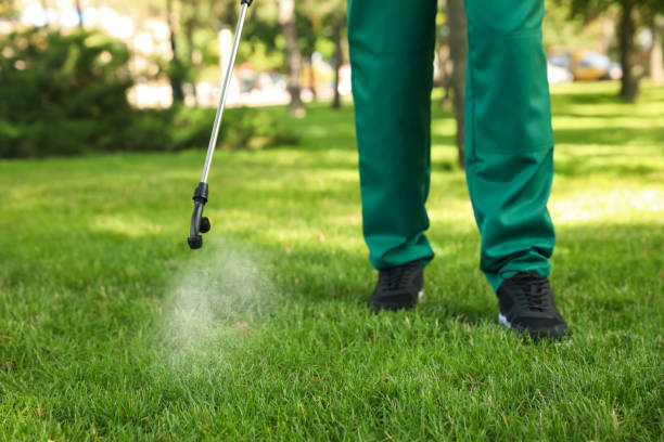 Best Insect Control  in Grand Meadow, MN
