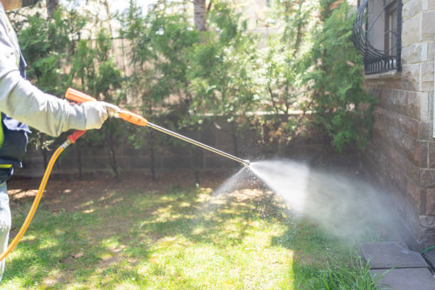Best Termite Control Services  in Grand Meadow, MN